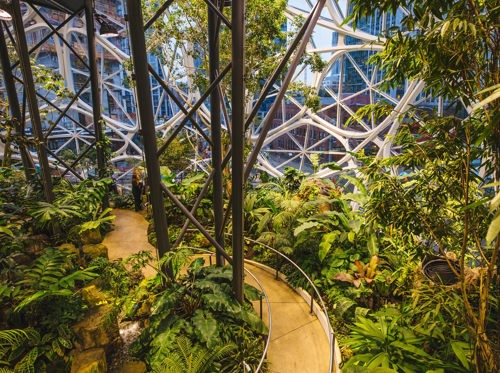 Jaga History 2018 Amazonspheres